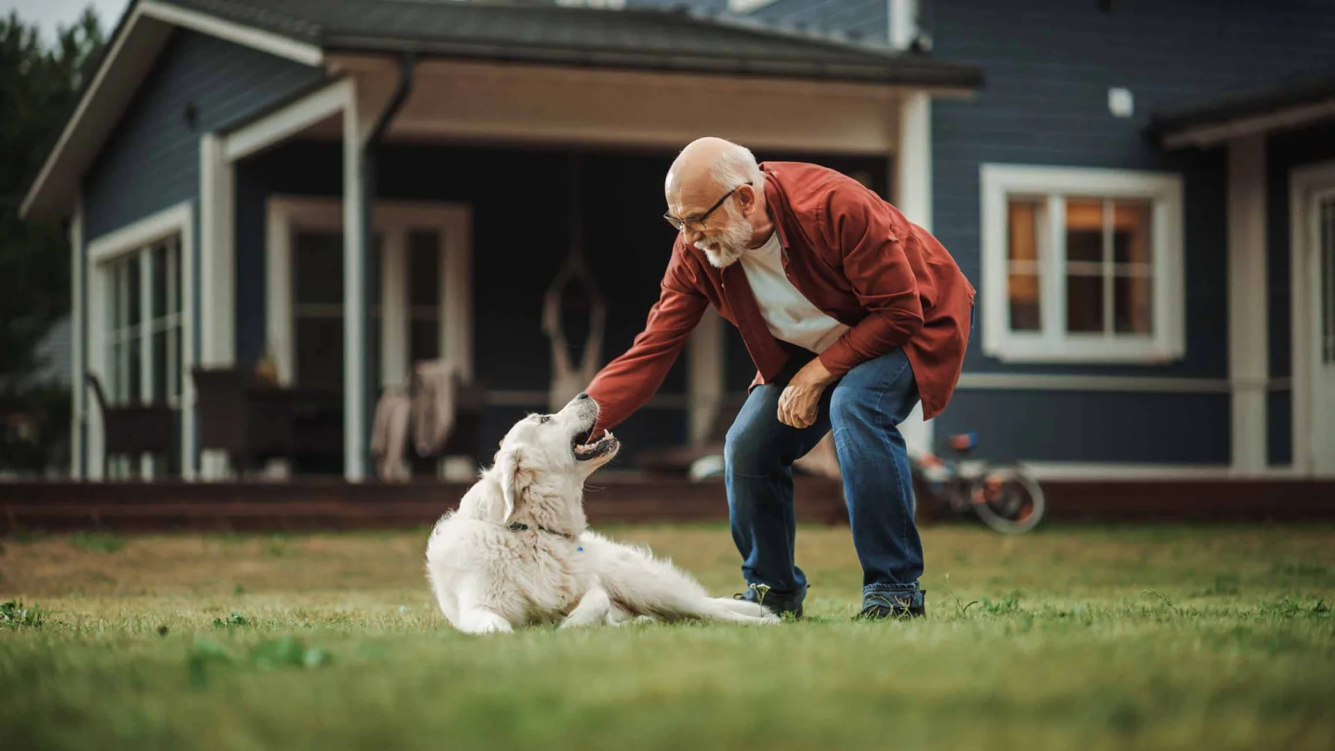 Fotografie zeigt älteren Mann, der sich nach vorne beugt und weißen Hund auf Grasfläche vor Haus streichelt. Szene vermittelt freundschaftliche Beziehung zwischen Mensch und Haustier in häuslicher Umgebung.